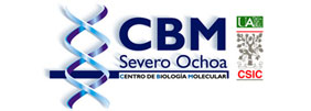 CBM